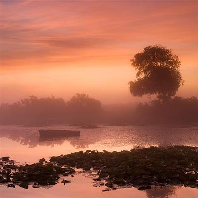 The New Forest Landscape Photography