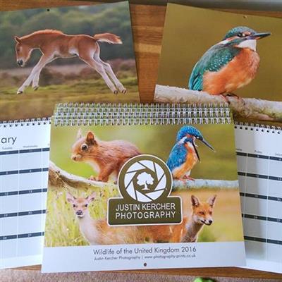 Wildlife Photography Calendar 2016